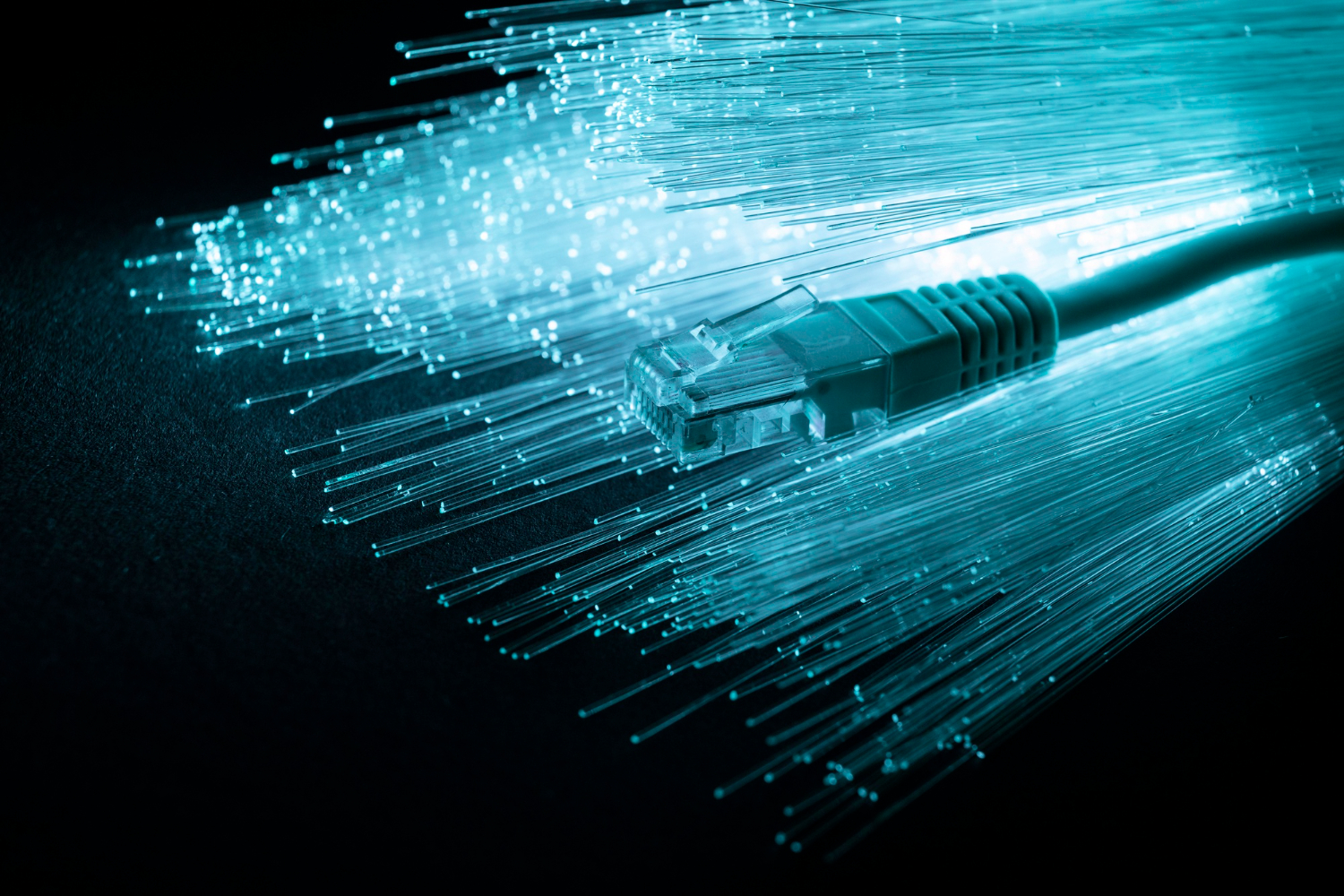 internet entreprise